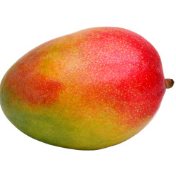 MANGUE KENT AVION 12PCS
